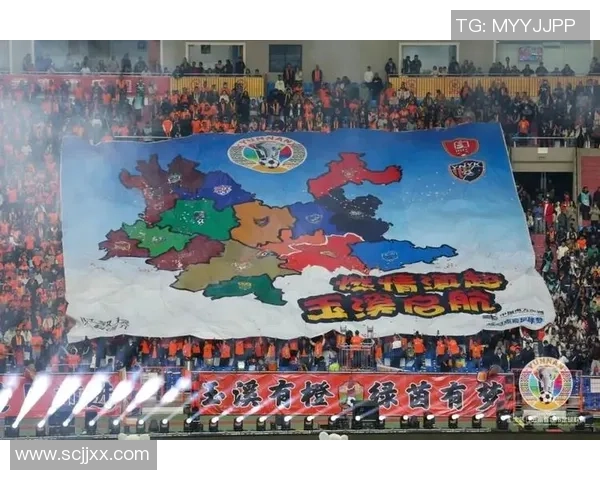 足球星海见证绿茵辉煌梦想点亮激情岁月传承永恒荣光