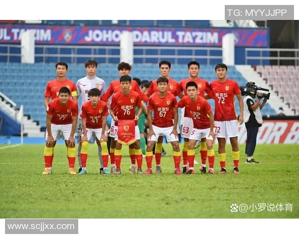 足球球星因伤致植物人状态 引发全球关注与讨论